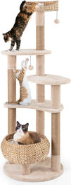 6-stöckiger Kratzbaum für Katzen mit Sitzstange, Rohrkolben und Korbbett, 164 cm hoch – Bild 1 von 1