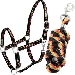 Produktbild von Abgestepptes Pferdehalfter + Longe Tattini