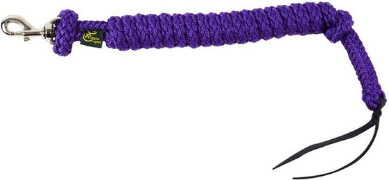 Produktbild von Abnehmbare Longierleine für das Reiten Ronzon Legend