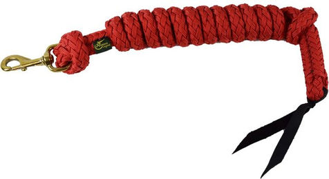 Produktbild von Abnehmbare Longierleine für das Reiten Ronzon Legend