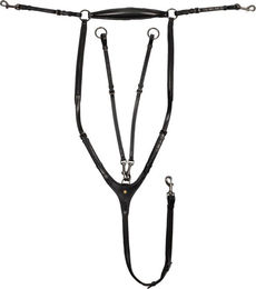 Produktbild von Abnehmbarer Ledermartingal für Pferde Equestro