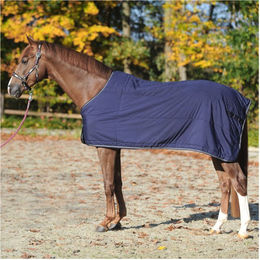 Abschwitz-Unterdecke Kavalkade 150 g - 150 g – Bild 1 von 3