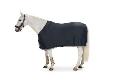 Produktbild von Abschwitzdecke Aerial-Jersey Classic Sports 21