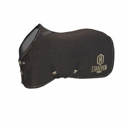 Produktbild von Abschwitzdecke Jersey Sparkle Heritage