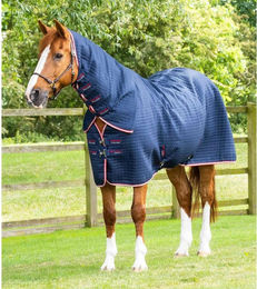 Produktbild von Abschwitzdecke mit Halsteil Premier Equine Dry-Tech