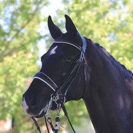 Produktbild von Acavallo Gioconda anatomische Kandare aus Kalbsleder