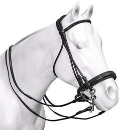 Produktbild von Acavallo Kandarenzaum Parnaso