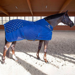 Produktbild von Accuhorsemat Akupressurdecke Cooler