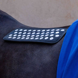 Produktbild von Accuhorsemat Akupressurdecke Original blau