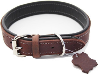 Produktbild von Activity4Dogs Hunde-Halsband große Hunde, Echtleder, 5-fach verstellbar, 4 Größen, verschiedene Farben, Größe M bis XL, jeweils 5-fach verstellbar