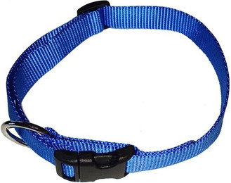Produktbild von Activity4Dogs Hunde-Halsband große Hunde Nylon verstellbar 38-55 cm