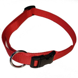 Produktbild von Activity4Dogs Hunde-Halsband große Hunde Nylon verstellbar 38-55 cm