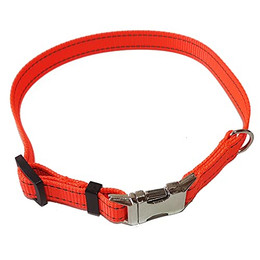 Produktbild von Activity4Dogs Hunde-Halsband reflektierend Signal-orange stufenlos verstellbar