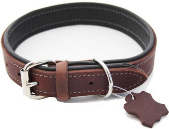 Produktbild von Activity4Dogs Luxus Hundehalsband aus Echtleder für große Hunde - 1 Stk.