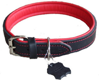 Produktbild von Activity4Dogs Luxus Hundehalsband aus Echtleder für große Hunde - 1 Stk.