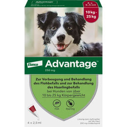 Produktbild von ADVANTAGE 250 Lösung f.Hunde 10-25 kg 4 St.