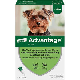 Produktbild von ADVANTAGE 40 Lösung f.Hunde bis 4 kg 4 St.