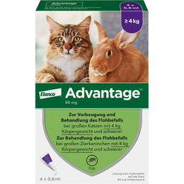 Produktbild von ADVANTAGE 80 mg f.gr.Katzen u.gr.Zierkaninchen 3,2 ml