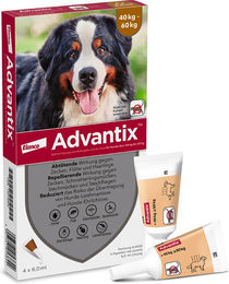 Produktbild von Advantix® 600 Spot-on für Hunde, von 40 bis 60 kg - 4 Pipetten x 6,0 ml