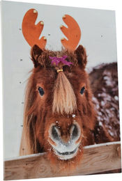 Produktbild von Adventskalender 2025