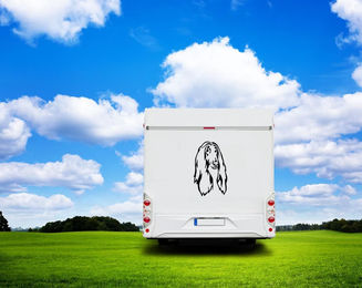 Produktbild von Afghane Kopf Wohnmobil Aufkleber