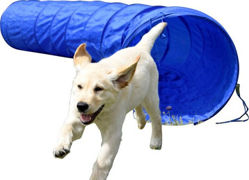 Produktbild von Agility-Tunnel Ø 50 x 300 cm - 300 cm