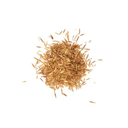Produktbild von Agrobs Pre Alpin Saatgut