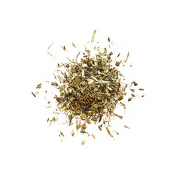 Produktbild von Agrobs Pre Alpin Testudo Baby