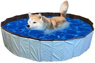 Produktbild von AK for Pets Hunde-Pool 120x30 cm
