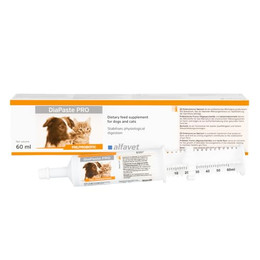 Produktbild von Alfavet Dia Paste PRO Injektor für Hunde & Katzen - 60 ml