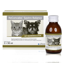 Produktbild von Alfavet ReConvales Gastro Balance für Hunde & Katzen - 3 x 90 ml