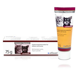 Produktbild von Alfavet ReConvales Päppelpaste - 75 g