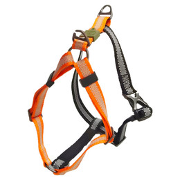Produktbild von all for paws Hunde-Halsband AFP Off Street Dog Non-pull Harness Tangerine XL