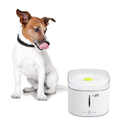 Produktbild von ALL FOR PAWS Lifestyle The Purefect Haustier-Wasserbrunnen - 3 l