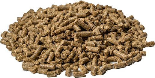 Produktbild von ALL-WIN Horse ConLino - 20 kg