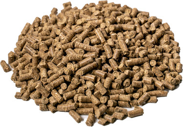 Produktbild von ALL-WIN Horse Gastric Sensitiv - 20 kg