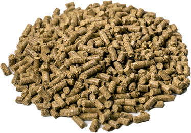 Produktbild von ALL-WIN Horse Sportivo Z - 20 kg