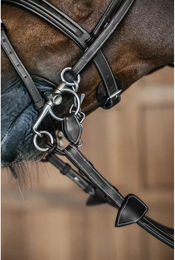 Produktbild von Allianz für Gebisse Dy'on Pelham