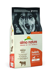 Produktbild von almo nature Holistic Adult Dog Maintenance Large mit Frischem Rind - 12 kg
