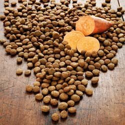 Produktbild von alsa-nature Ente & Süßkartoffel getreidefrei Trockenfutter - 12 kg