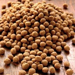 Produktbild von alsa-nature Junior Medial Protein Trockenfutter - 3 kg