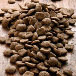 Produktbild von alsa-nature Vital Trockenfutter - 2 x 12 kg