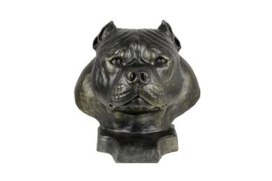 American Bully II Hundebüste braun – Bild 1 von 10