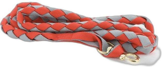 Produktbild von Amerikanische Longe für Pferde Norton - 2,5 m