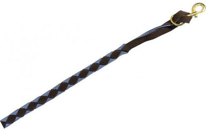 Produktbild von Amerikanische Longe für Pferde Norton