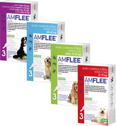 Amflee Spot-on Hund - 20-40 kg - 3 Pipetten – Bild 1 von 5
