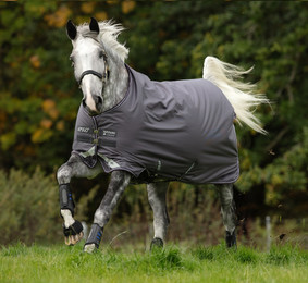 Produktbild von Amigo Bravo 12 Original - Lite 0g