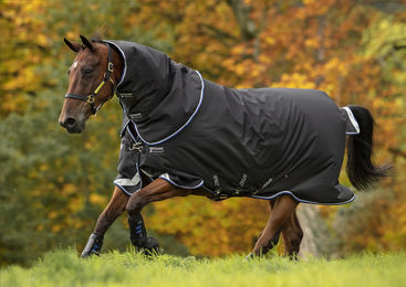 Produktbild von Amigo Bravo 12 Plus - Medium 250g