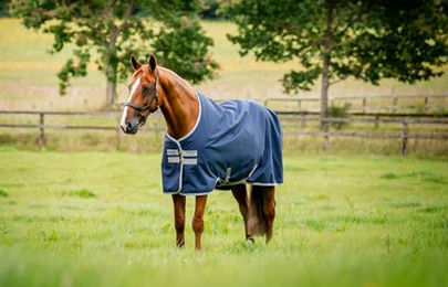 Produktbild von Amigo Ripstop 900D Turnout Weidedecke 100g, 140cm, Navy/Titanium Grey