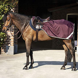 Produktbild von AMIGO Ripstop Competition Ausreitdecke Small Fig Navy Tan